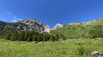 Widderstein