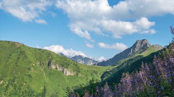 Ausblick