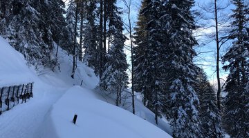 Höhenweg Söllereck