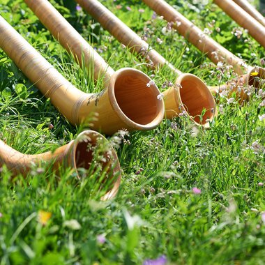 Eine Reihe von Alphörnern liegt im Gras. Die Hörner sind aus Holz und umgeben von bunten Blumen. | © OBERSTDORF · KLEINWALSERTAL BERGBAHNEN