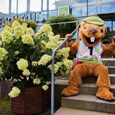 Ein großer, freundlicher Maskottchen sitzt auf einer Treppe vor einem Gebäude. Neben ihm steht ein blühender Strauch mit weißen Blumen. | © Kleinwalsertal Tourismus | Oliver Farys