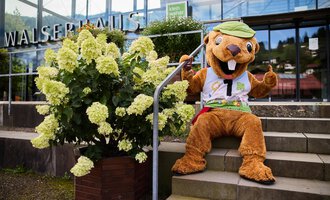 Ein großer, freundlicher Maskottchen sitzt auf einer Treppe vor einem Gebäude. Neben ihm steht ein blühender Strauch mit weißen Blumen. | © Kleinwalsertal Tourismus | Oliver Farys