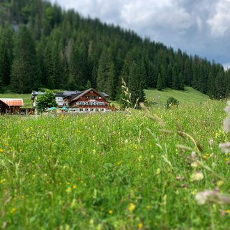 © Das KÜREN Eine malerische Wiese mit bunten Blumen und hohem Gras, umgeben von dichten Wäldern. Im Hintergrund steht ein traditionelles Holzhaus. | © Das KÜREN