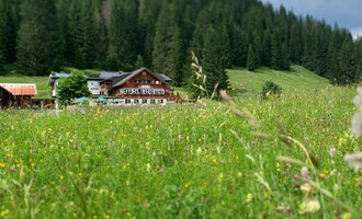 Eine malerische Wiese mit bunten Blumen und hohem Gras, umgeben von dichten Wäldern. Im Hintergrund steht ein traditionelles Holzhaus. | © Das KÜREN