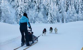 Eine Person zieht einen Schlitten durch den Schnee. Im Hintergrund sind schneebedeckte Bäume und Huskys zu sehen. | © Kleinwalsertal Tourismus | Oliver Farys