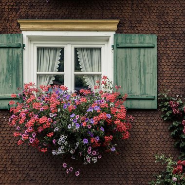 Ein Fenster mit grünen Fensterläden und einem bunten Blumenkasten. Die Blumen sind in verschiedenen Farben und sorgen für eine lebendige Atmosphäre. | © Kleinwalsertal Tourismus | Oliver Farys