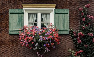 Ein Fenster mit grünen Fensterläden und einem bunten Blumenkasten. Die Blumen sind in verschiedenen Farben und sorgen für eine lebendige Atmosphäre. | © Kleinwalsertal Tourismus | Oliver Farys