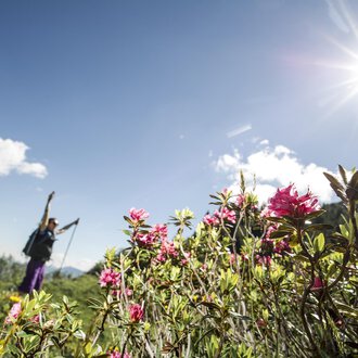 © Kleinwalsertal Tourismus | Dominik Berchtold Eine Wandererin steht inmitten von bunten Blumen unter einem strahlenden Sonnenlicht. Der Himmel ist blau mit wenigen Wolken. | © Kleinwalsertal Tourismus | Dominik Berchtold