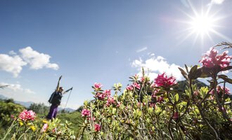Eine Wandererin steht inmitten von bunten Blumen unter einem strahlenden Sonnenlicht. Der Himmel ist blau mit wenigen Wolken. | © Kleinwalsertal Tourismus | Dominik Berchtold