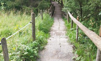 Ein schmaler Weg mit Steinen führt durch eine grüne Landschaft. Die Umgebung ist von Bäumen und Sträuchern umgeben. | © Nicole Lughammer