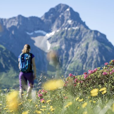Eine Person wandert durch eine blühende Wiese mit bunten Blumen. Im Hintergrund ragen majestätische Berge unter einem klaren blauen Himmel empor. | © Kleinwalsertal Tourismus eGen