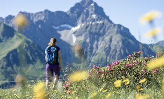 Eine Person wandert durch eine blühende Wiese mit bunten Blumen. Im Hintergrund ragen majestätische Berge unter einem klaren blauen Himmel empor. | © Kleinwalsertal Tourismus eGen