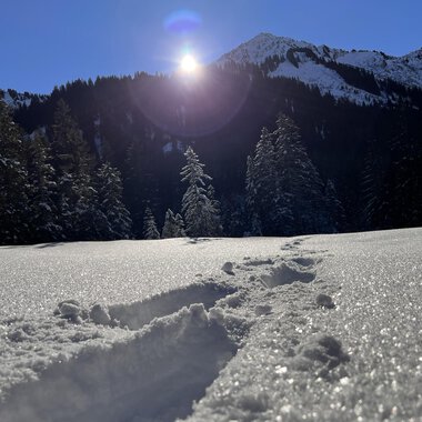 A snowy landscape with footprints in the snow. In the background, trees and mountains are visible under a clear sky. | © Kleinwalsertal Tourismus eGen | Ken Gibson