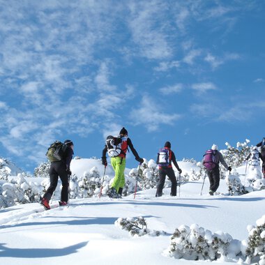 Eine Gruppe von Menschen wandert durch eine verschneite Landschaft. Der Himmel ist klar und blau, während die Szene von schneebedeckten Bäumen umgeben ist. | © Kleinwalsertal Tourismus | Frank Drechsel