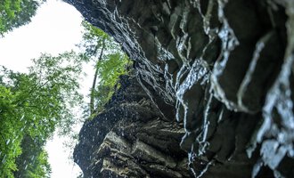 A rocky cliff with water dripping down from above. Green trees grow in the background. | © Breitachklammverein eG | Dominik Berchtold