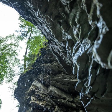 A rocky cliff with water dripping down from above. Green trees grow in the background. | © Breitachklammverein eG | Dominik Berchtold