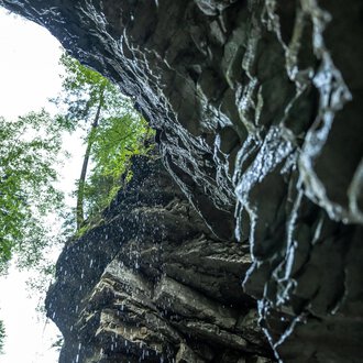 Eine imposante Felsformation mit Wasserfall, umgeben von grünen Bäumen. Der Blick ist nach oben gerichtet, der Himmel ist bewölkt. | © Breitachklammverein eG | Dominik Berchtold