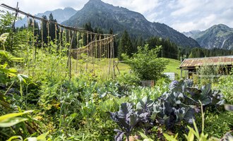 © Kleinwalsertal Tourismus | Dominik Berchtold A lush garden with various plants and vegetables, surrounded by mountains. The sky is clear and the natural setting is green and inviting. | © Kleinwalsertal Tourismus | Dominik Berchtold
