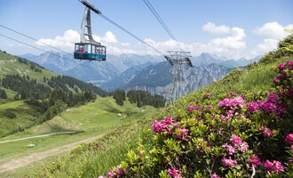 Eine Seilbahn schwebt über grüne Wiesen mit blühenden Rhododendren. Im Hintergrund sind majestätische Berge und ein blauer Himmel zu sehen. | © OBERSTDORF · KLEINWALSERTAL BERGBAHNEN