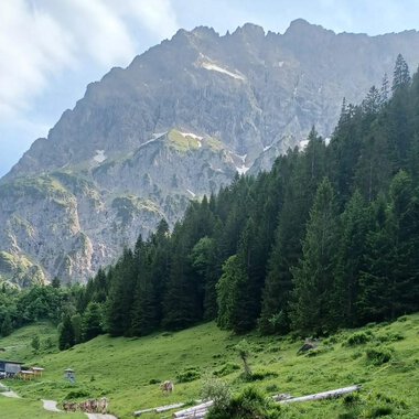 Eine malerische Alm mit saftigem Grün und dichten Wäldern im Vordergrund. Im Hintergrund erheben sich beeindruckende Berge unter einem leicht bewölkten Himmel. | © Bernhards Gemstelalp | Bernhard Heim