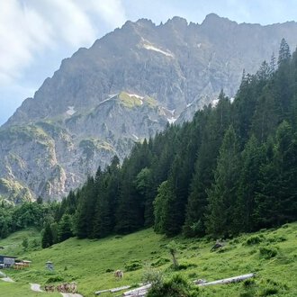 © Bernhards Gemstelalp | Bernhard Heim