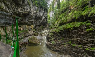 An impressive gorge with steep rock walls and a flowing watercourse. Lush greenery surrounds the river, creating a tranquil atmosphere. | © Kleinwalsertal Tourismus |  Steffen Berschin