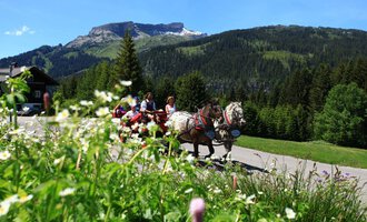 Eine Kutschfahrt durch eine malerische Landschaft mit Bergen im Hintergrund. Grüne Wiesen und blühende Blumen umsäumen die Straße. | © Kleinwalsertal Tourismus