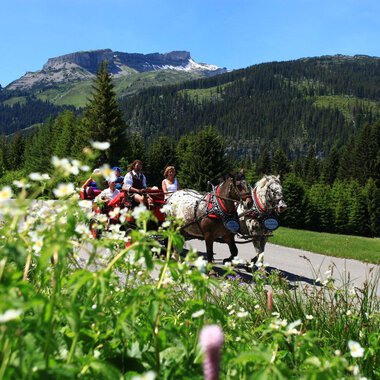 Eine Kutschfahrt durch eine malerische Landschaft mit Bergen im Hintergrund. Grüne Wiesen und blühende Blumen umsäumen die Straße. | © Kleinwalsertal Tourismus