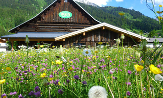 A charming wooden building surrounded by colorful flower meadows. In the background, gentle mountains and a blue sky can be seen. | © iKuh Schöne Ideen | Daniela Neumann