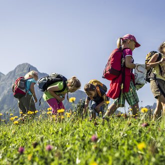 A group of children explores a blooming meadow in the mountains. They collect flowers and enjoy nature on a sunny day. | © Kleinwalsertal Tourismus | Oliver Farys