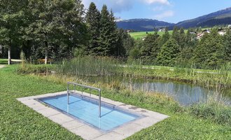 Ein kleiner Pool in einer grünen Umgebung mit Bäumen und einer ruhigen Wasserfläche im Hintergrund. Die Landschaft ist sanft hügelig und lädt zur Entspannung ein. | © Kleinwalsertal Tourismus | Veronika Senn
