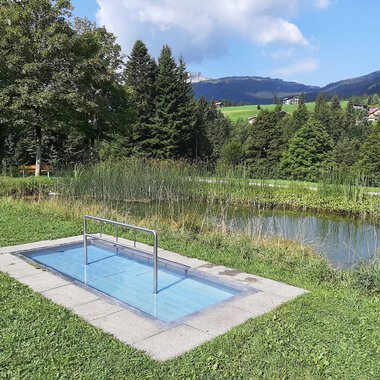 A small pool in a green environment with trees and a calm water surface in the background. The landscape is gently rolling and invites relaxation. | © Kleinwalsertal Tourismus | Veronika Senn