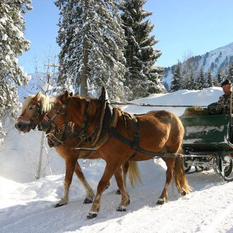 A horse-drawn sleigh ride through a snowy winter landscape. Trees and mountains are visible in the background. | © Otto Berwanger