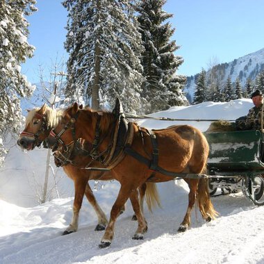 A horse-drawn sleigh ride through a snowy winter landscape. Trees and mountains are visible in the background. | © Otto Berwanger