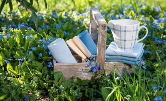 A small wooden box lies in the grass, surrounded by blue flowers. Inside are dish towels and a cup with a checkered pattern. | © Rohn - Kinder, Trends und mehr | Solwang