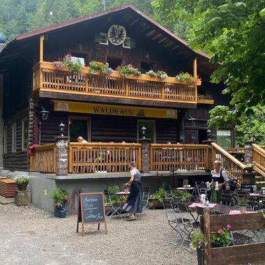 Ein gemütliches Chalet inmitten von Bäumen. Auf der Terrasse sitzen Gäste und genießen die Natur. | © Waldhaus | Yvonne Grosse