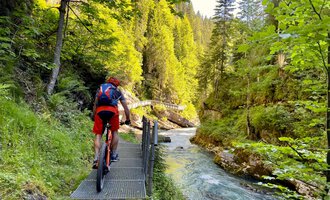 A cyclist rides along a narrow path beside a clear river. The surroundings are green with tall trees and sunny weather. | © WalserBike Tours | Christian Gutermuth