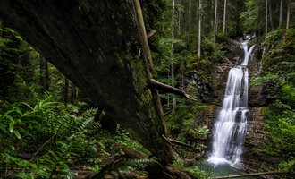 A beautiful waterfall flowing through a dense forest. Surrounded by green plants and tall trees. | © Kleinwalsertal Tourismus | Dominik Berchtold