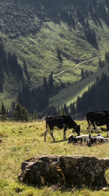 © Kleinwalsertal Tourismus eGen • Fotograf: Andre Tappe