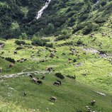 © Kleinwalsertal Tourismus eGen • Fotograf: Andre Tappe