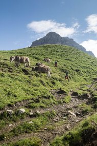 © Kleinwalsertal Tourismus eGen • Fotograf: Andre Tappe