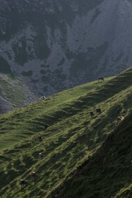 © Kleinwalsertal Tourismus eGen • Fotograf: Andre Tappe