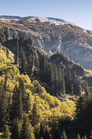 © Kleinwalsertal Tourismus eGen • Fotograf: Bastian Morell