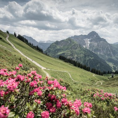 © Kleinwalsertal Tourismus eGen • Fotograf: Dominik Berchtold