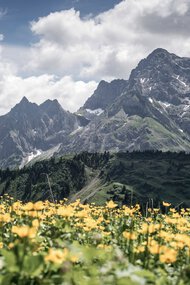 © Kleinwalsertal Tourismus eGen • Fotograf: Dominik Berchtold