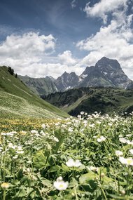 © Kleinwalsertal Tourismus eGen • Fotograf: Dominik Berchtold