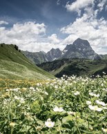 © Kleinwalsertal Tourismus eGen • Fotograf: Dominik Berchtold
