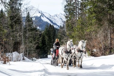 © Kleinwalsertal Tourismus eGen • Photographer: Dominik Berchtold © Kleinwalsertal Tourismus eGen • Photographer: Dominik Berchtold