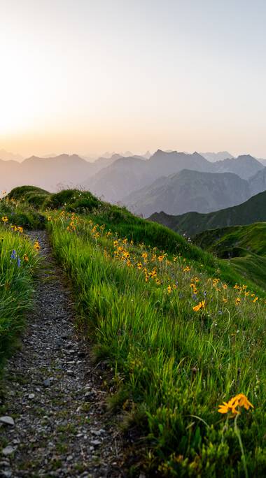 © Kleinwalsertal Tourismus eGen • Fotograf: Erika Dürr
