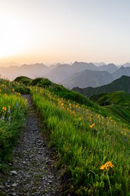 © Kleinwalsertal Tourismus eGen • Fotograf: Erika Dürr